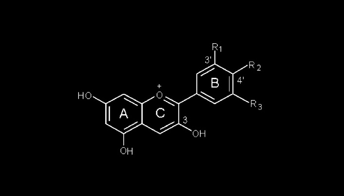 Blauwe bessen reduceren de vervetting van de lever