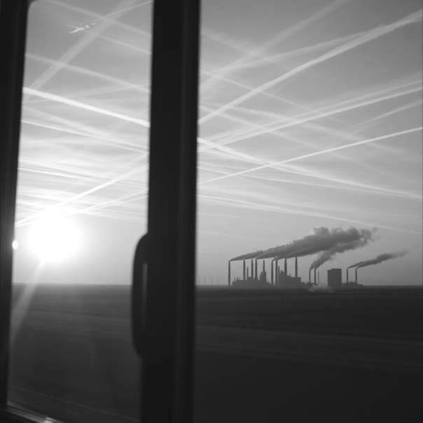 Zo houd je zware metalen uit je lichaam