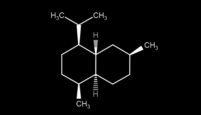 Minder stress en meer NK-cellen door Hinoki-olie