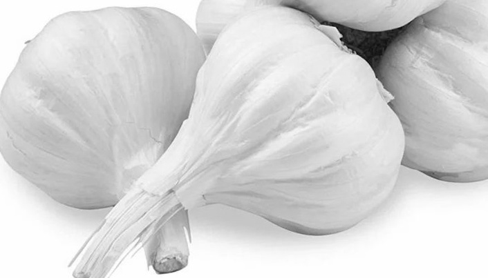 Antivirale werking knoflook zit coronavirus dwars