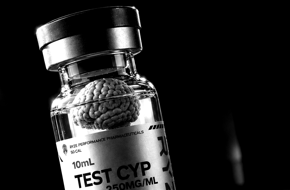 De plussen en minnen van het testosteronbrein