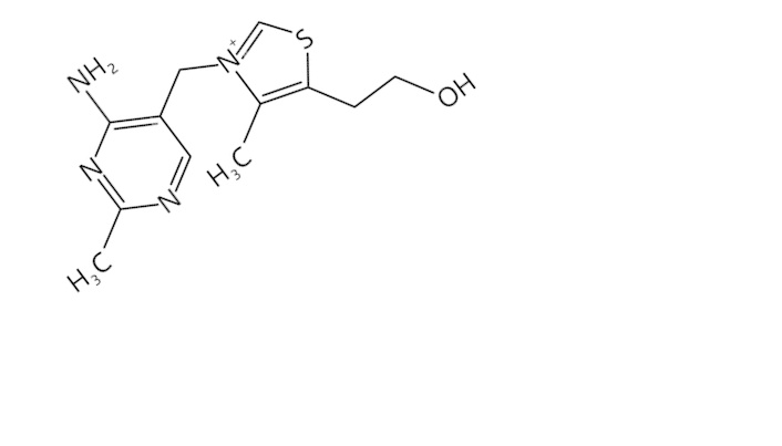 De B van vitamine B1 staat voor 'bot'