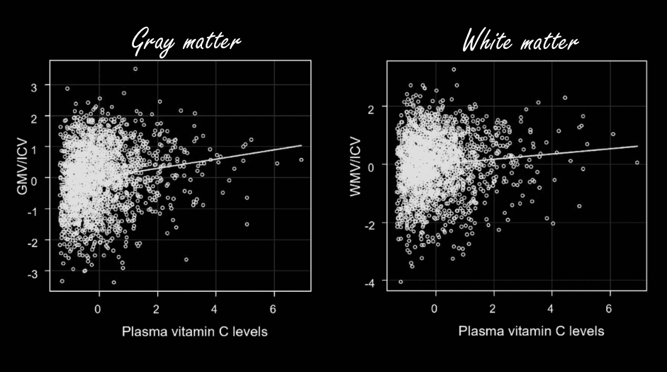 Vitamine C remt krimpen van hersenen door veroudering